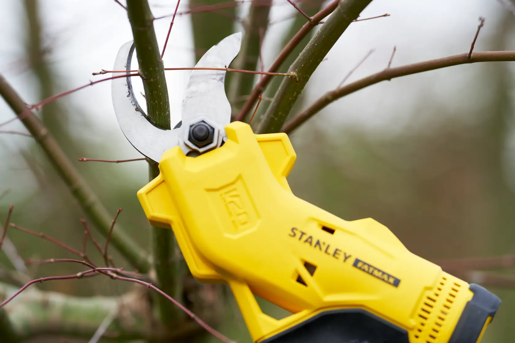 STANLEY SFMCPP32B cesoia gialla senza fili che taglia un ramo d’albero all’aperto, primo piano.