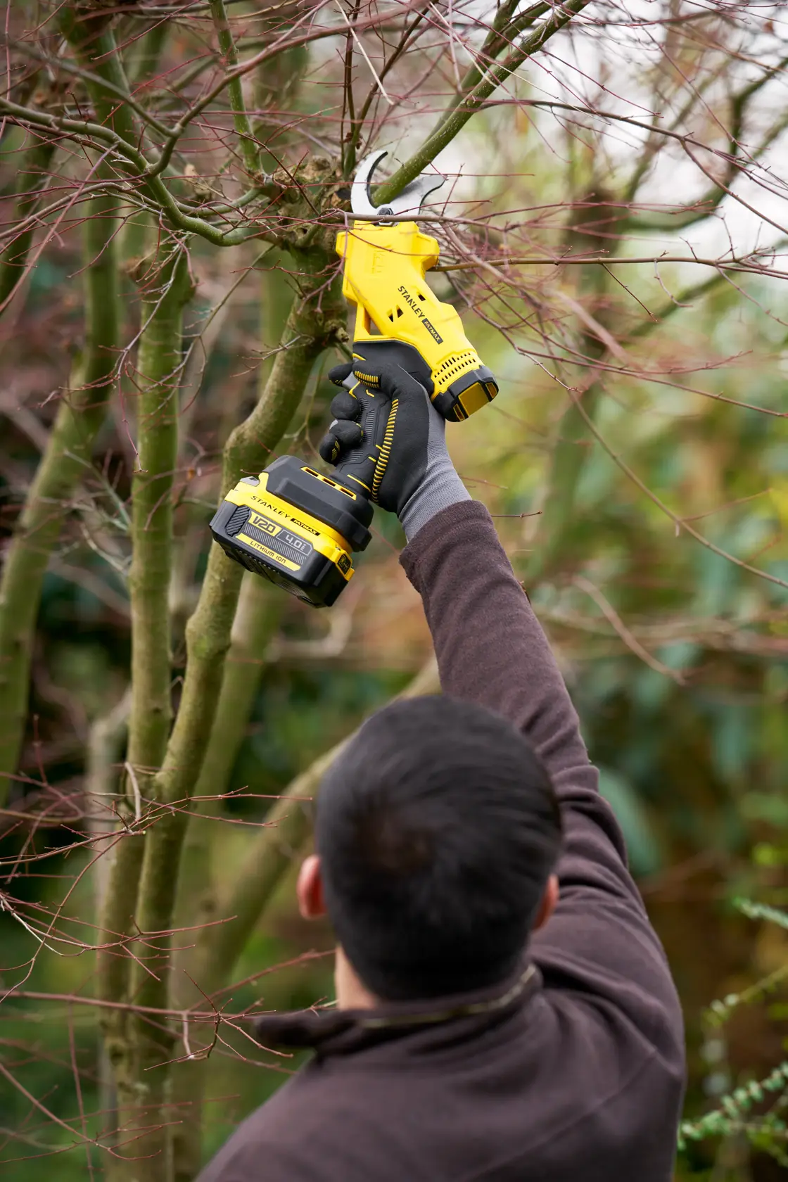 Foto del potatore a batteria STANLEY SFMCPP32B utilizzato per tagliare rami di albero all'aperto.