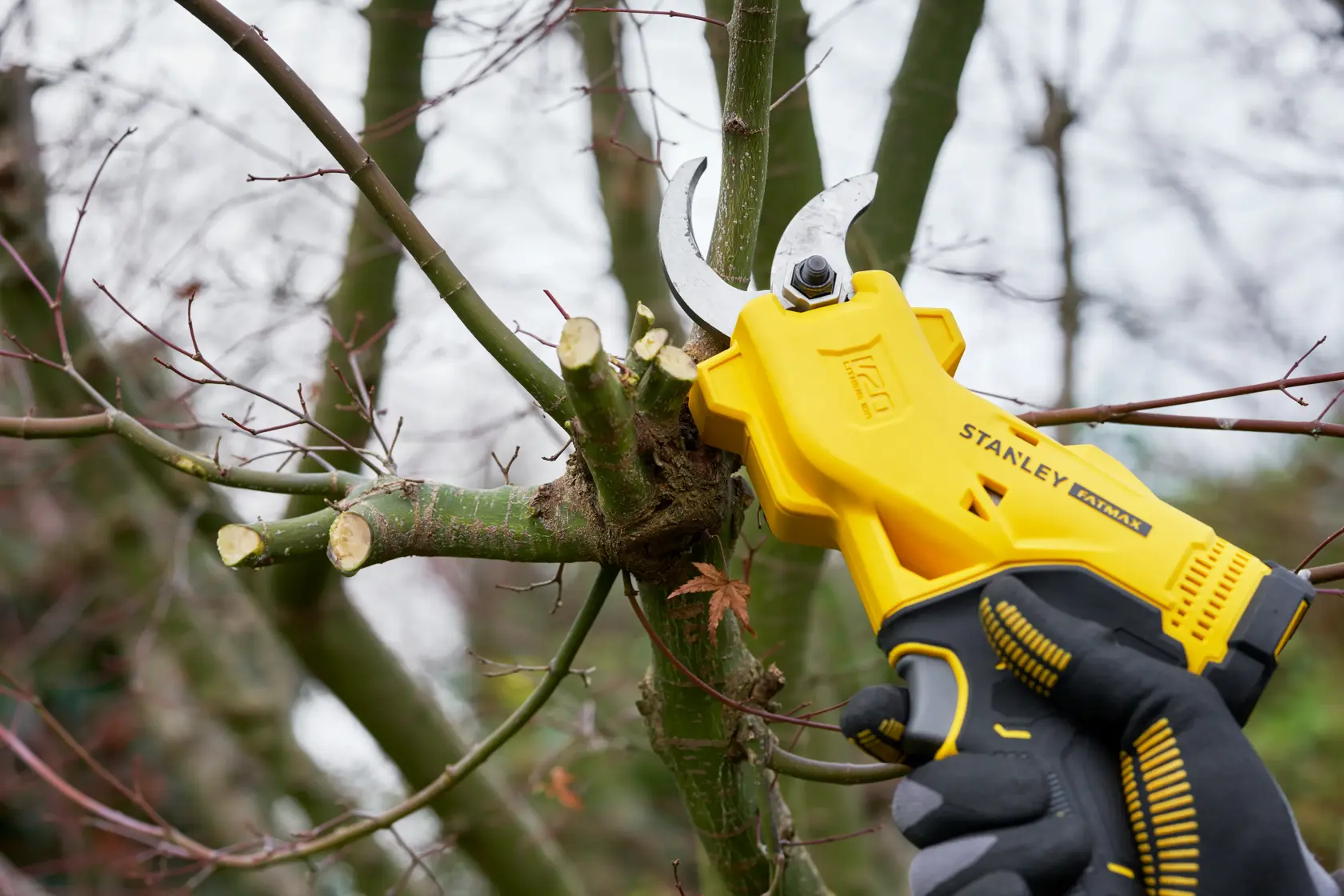 Foto del potatore a batteria STANLEY SFMCPP32M1 in uso, mentre taglia rami di albero all’aperto.
